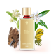 Tilia 0_thumb